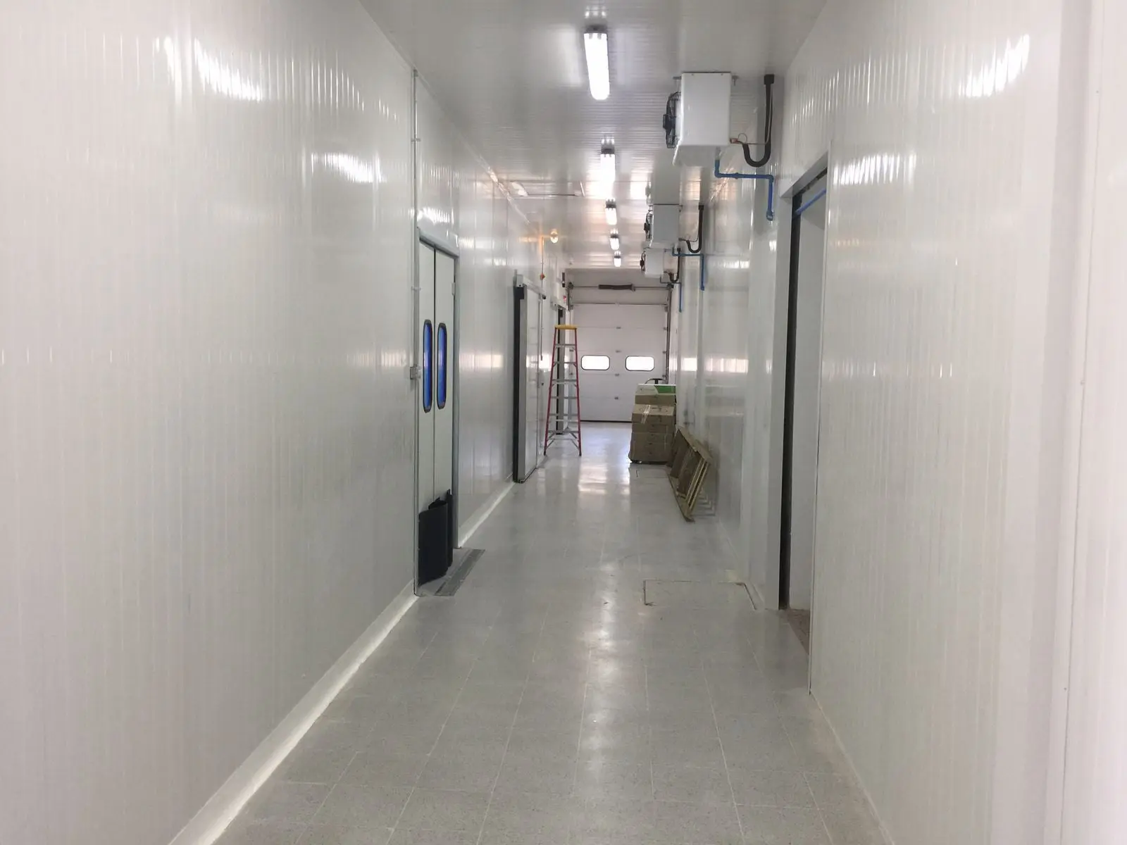 Línea Industrial y Congelados