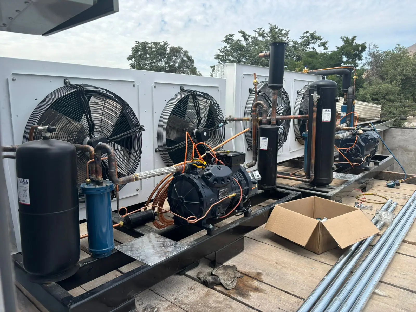 Línea Industrial y Congelados